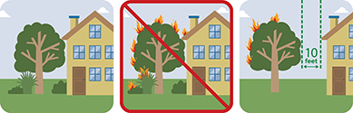 This pictograph  shows ladder fuels too close to a house.