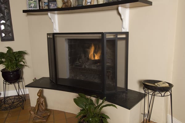 fireplace with screen