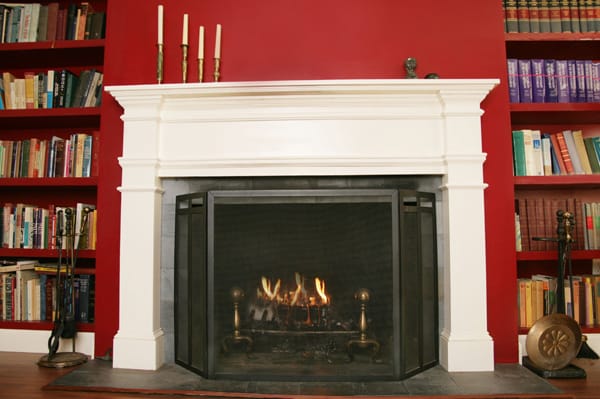 fireplace with screen