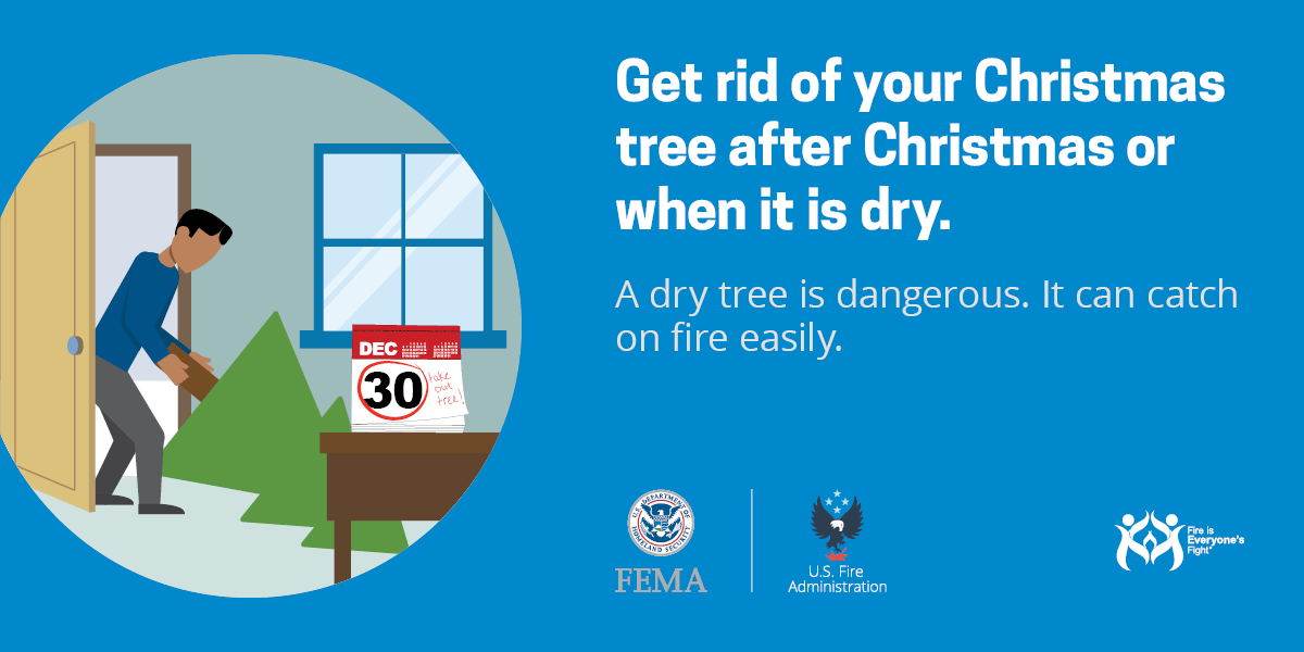 social card: get rid of your Christmas tree after Christmas or when it is dry