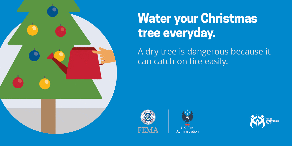 social card: practice safe water your Christmas tree every day