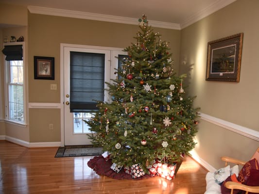 stock photo: live Christmas tree