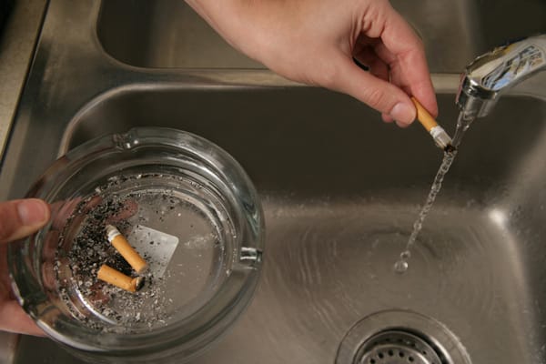 soak cigarette ashes in water