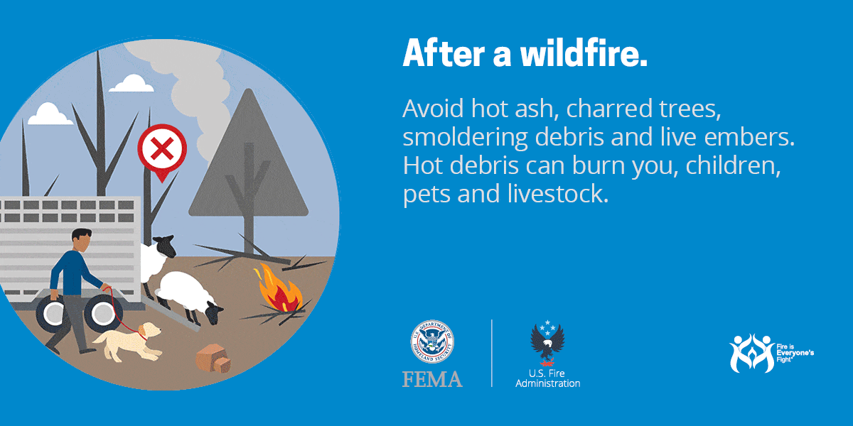 wildfire social card: after a wildfire, avoid hot ash, live embers and hot debris