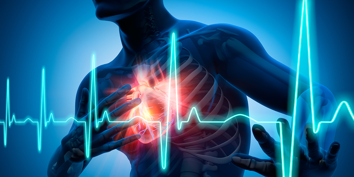 Photo of Cardiovascular Disease