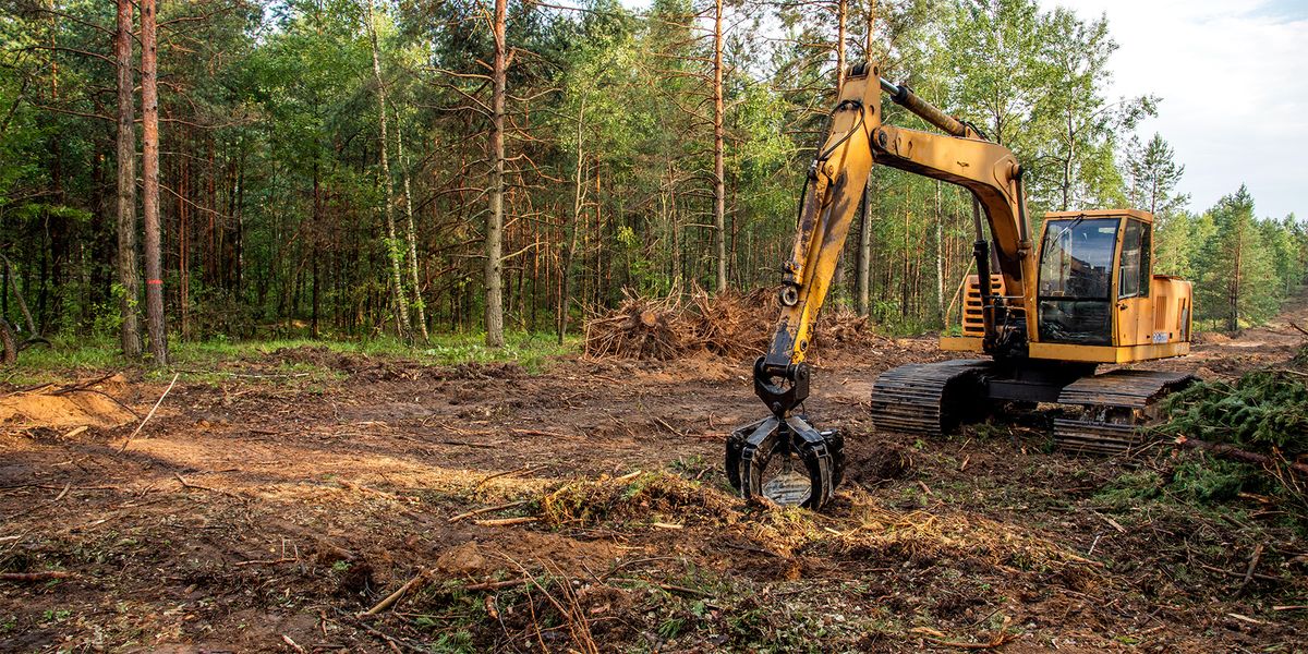 photo of equipment clearing overgrown vegetation