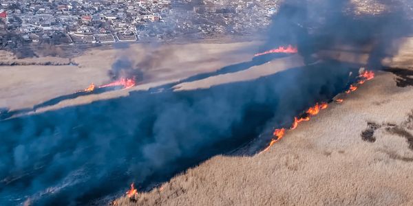 Community hillside wildfire