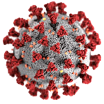 3D rendering of a coronavirus