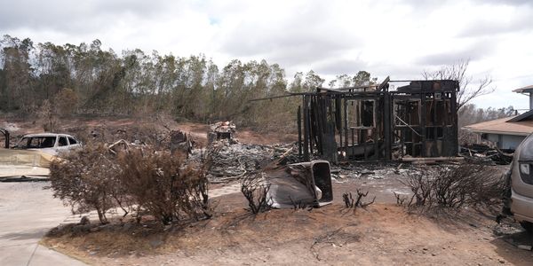 FEMA photo of the aftermath of the Hawaii wildfire