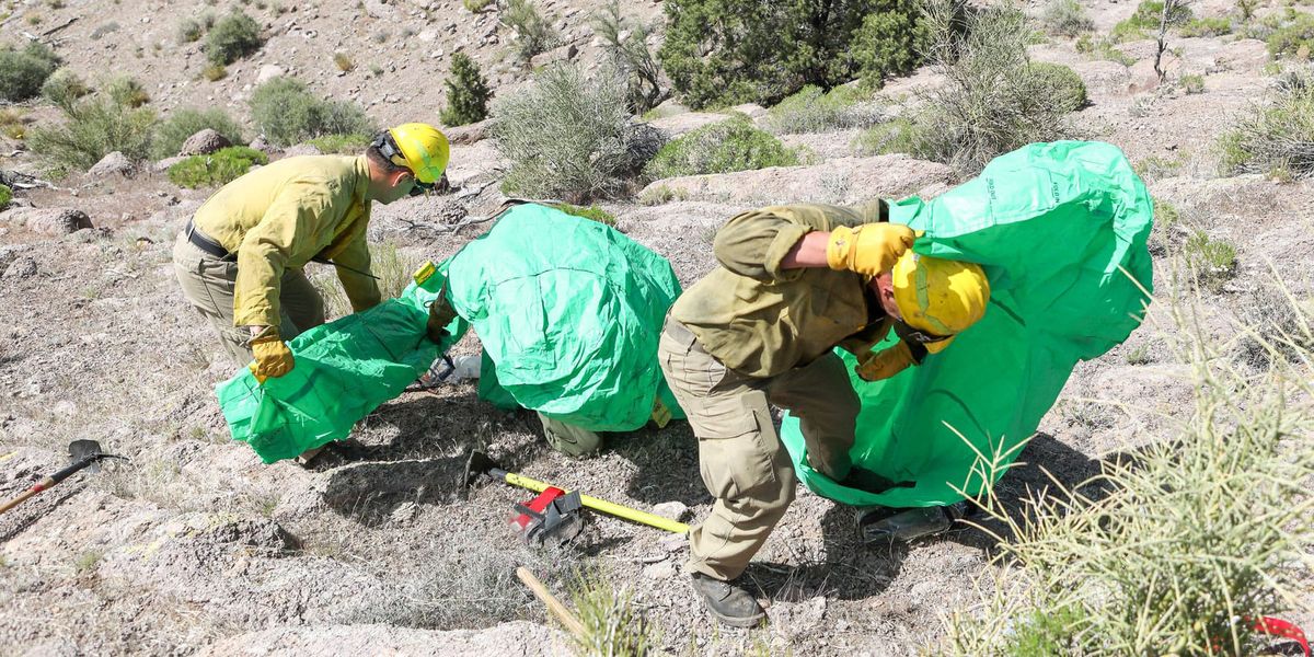 Photo of firefighters using a wildland fire safety shelter