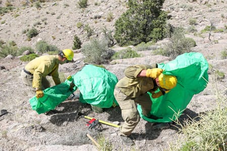 Photo of firefighters demonstrating the use of wildland fire shelters