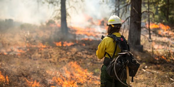 Photo of a wildland firefighter