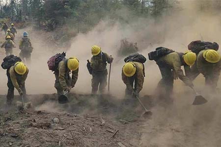 wildland firefighters constructing a fireline
