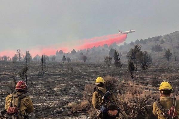wildland firefighters watching a plane drop fire retardant