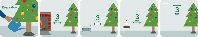 Man waters a Christmas tree and keeps it at least 3 feet from fireplace, space heater, candle and heat vent.