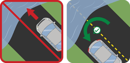 pictograph 67