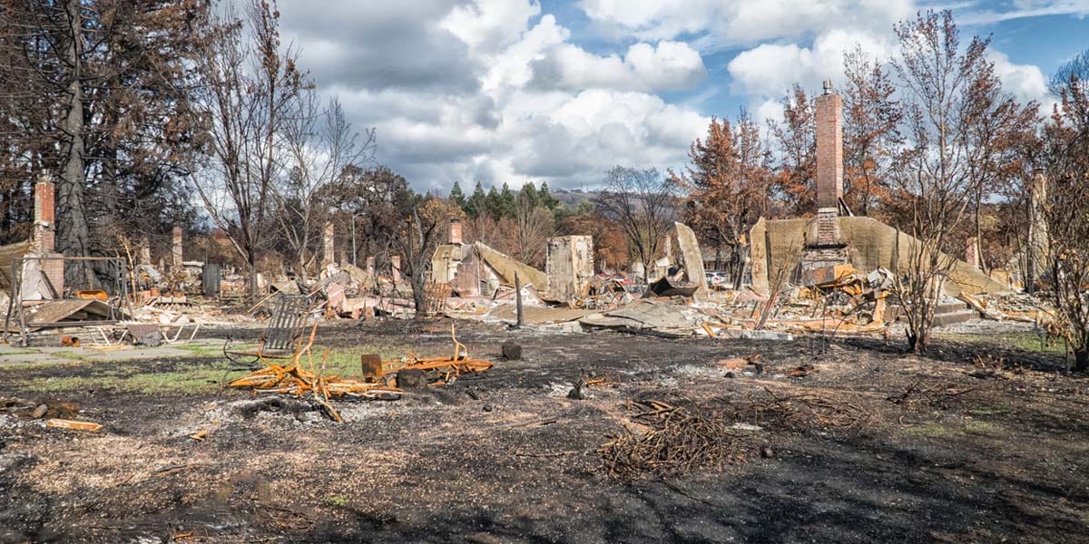 image of homes burned in a wildfire