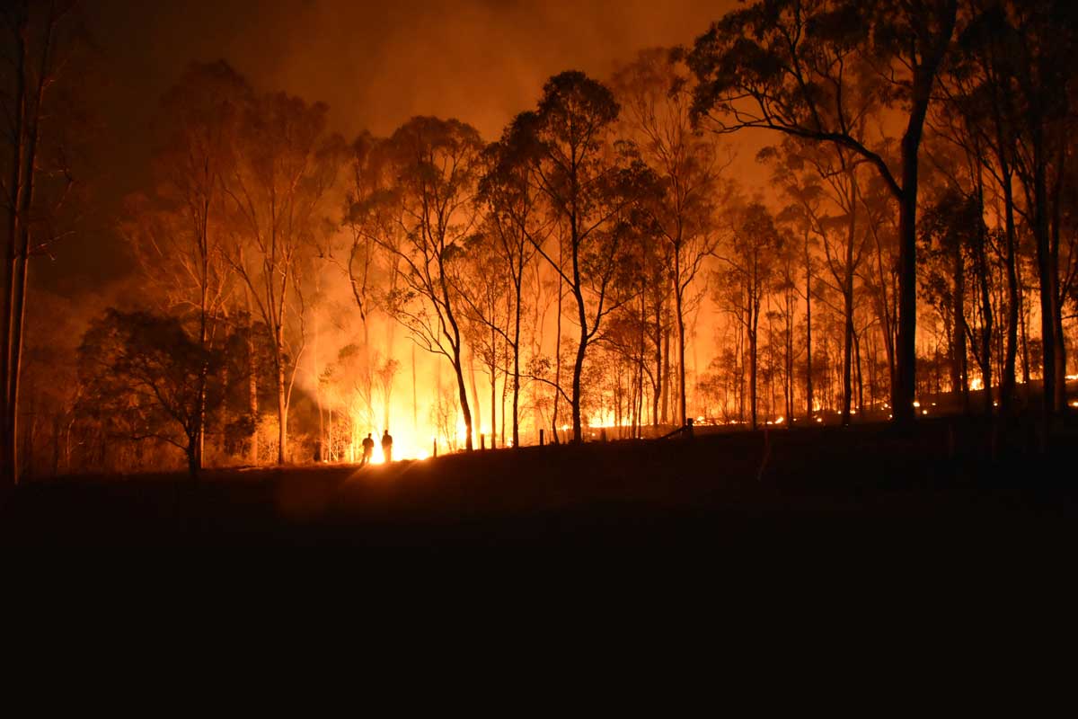 Image of a wildfire at night and 2 people watching